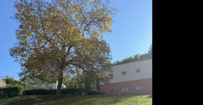 Podzimní sluníčko ve školní družině I.odd.