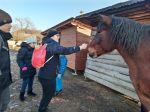 Fotografie img-20241226-142621-4_1_original.jpg