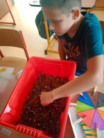 Fotografie 5ac9bb52-cab2-4868-85c4-22831a148c63_original.jpg