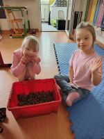 Fotografie img-20251017-122133519-hdr_original.jpg